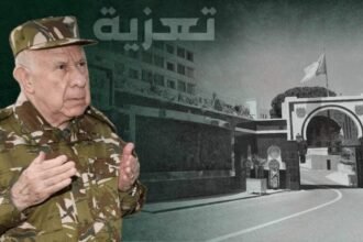الفريق أول شنقريحة يعزي عائلات ضحايا حادث سقوط حافلة لنقل المسافرين بواد الحراش