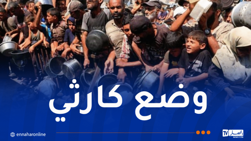 المتحدث بإسم الأونروا للنهار: مليون فلسطيني بغزة يعاني من المجاعة