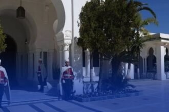 المديرية العامة للاتصال برئاسة الجمهورية تفند ما ورد في جريدة الوطن الناطقة باللغة الفرنسية