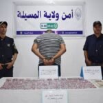 المسيلة : حجز 1798 كبسولة مهلوسة وتوقيف مروجها