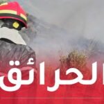 اندلاع 16 حريقا عبر 7 ولايات !