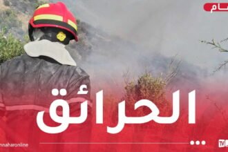 اندلاع 16 حريقا عبر 7 ولايات !