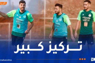 بالصور.. محليو “الخضر” يدخلون أجواء الجدية تحسبًا لمواجهة جنوب إفريقيا