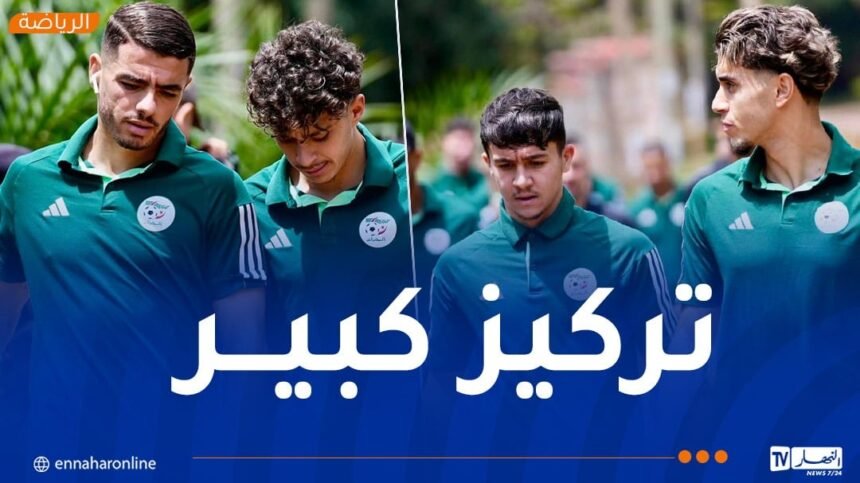 بالفيديو.. المنتخب الوطني للمحليين في جولة استرخائية قبل مواجهة غينيا