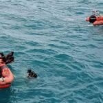 بجاية.. البحث عن مفقود بشاطئ تيقصرت بمالبو