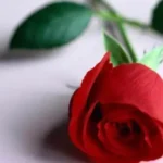 بخله المادي وشحه العاطفي قلب حياتي رأسا على عقب