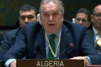 بن جامع: سنواصل الدعوة إلى وقف إطلاق نار فوري لإنهاء المعاناة في غزة