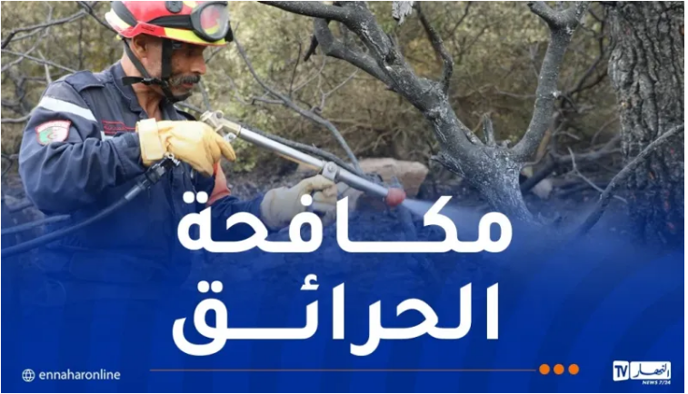 تراجع نسبة حرائق الغابات مقارنة بالسنوات الماضية