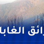 تسجيل 14 حريقا عبر هذه الولايات