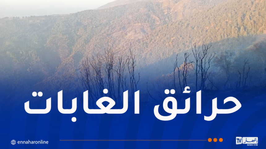 تسجيل 14 حريقا عبر هذه الولايات