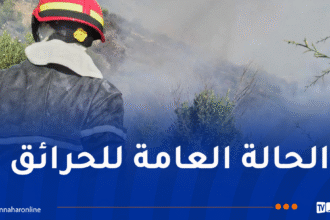 تسجيل 35 حريقا عبر الوطن خلال 24 ساعة!