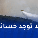 تسخير 3 طائرت إخماد.. إندلاع حريق بمنطقة الدكان في بومرداس