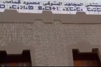 تمنراست.. انطلاق التشغيل التدريجي لمستشفى قمامة محمد بسعة 240 سريرا