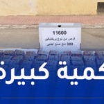 حجز أزيد من 11 ألف قرص مهلوس بباتنة