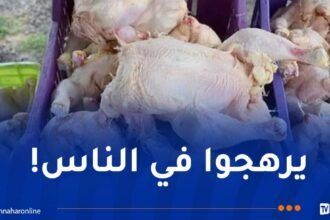حجز أكثر من 14 قنطار مواد غذائية فاسدة بسيدي بلعباس