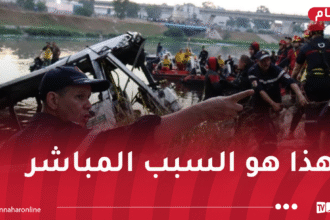 حمولة زائدة وأعطال بالجملة.. هذه أسباب كارثة الحراش