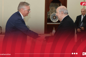 رئيس الجمهورية يستقبل سفير مملكة السويد