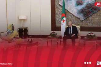 رئيس الجمهورية يستقبل سفيرة السودان