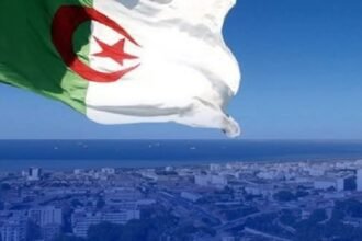 رفع التحفظ على المادة 15 فقرة 4 من اتفاقية سيداو… الحقائق والتأويلات