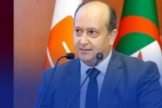سيفي غريب وزيرا أولا بالنيابة.. وهذه سيرته الذاتية