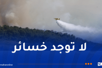 طائرات القوات الجوية تُشارك في إخماد الحرائق ببجاية