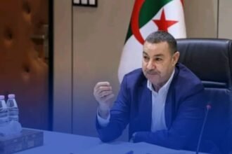على مرحلتين .. هكذا سيتم تجديد الحظيرة الوطنية للنقل