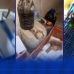 عين الدفلى: وضع حد لنشاط محلين تجاريين يمارسان “الحجامة” بطريقة غير شرعية