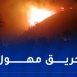 فيما تم اجلاء العائلات..حريق مهول يلتهم جبال الشريعة في البليدة