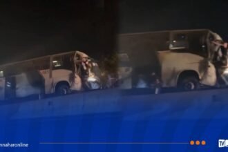 قسنطينة.. 19 جريحا في اصطدام بين حافلتين بـ زواغي