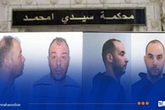 محكمة سيدي امحمد تكشف تفاصيل مثيرة في قضية حجز 235 ألف قرص إكستازي