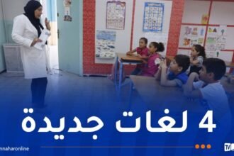 مسابقة توظيف الأساتذة..ادراج 4 لغات جديدة في التعليم الثانوي