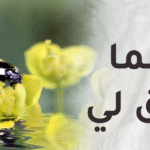 مما راق لي..الله يحبك دائما