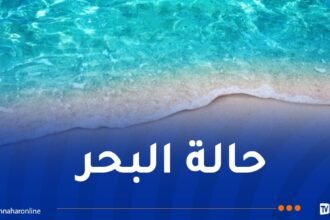 هذه حالة البحر على الشريط الساحلي حتى الخميس