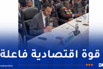 واضح يُؤكد إلتزام الجزائر بتعزيز مكانة إفريقيا كقوة اقتصادية مُؤثرة دوليا