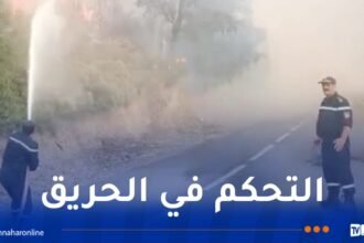 والي البليدة: إجلاء 36 عائلة كإجراء إحترازي والوضع متحكم فيه