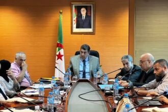 وزارة التجارة تدعو إلى تكثيف الرقابة على أسعار الموز والتفاح واللحوم الحمراء