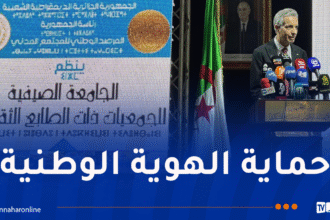 وزارة الثقافة تُدعم 100 عمل فني و200 مشروع ثقافي