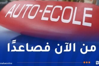 وزارة النقل: تحقيقات حوادث المرور ستشمل مدارس تعليم السياقة