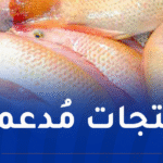 وزير الفلاحة: توفير كل التسهيلات للراغبين في الاستثمار بتربية المائيات البحرية
