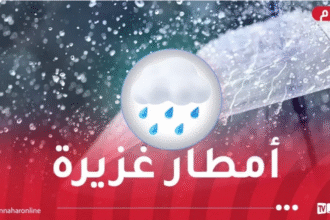 أمطار رعدية غزيرة وبَرَد على هذه الولايات اليوم