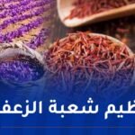 إطلاق الإستراتيجية الوطنية لتطوير زراعة الزعفران وتعميمها بالجزائر
