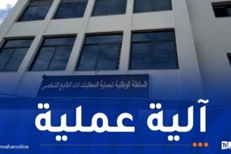 إطلاق بوابة جديدة مخصصة للأفراد المعنيين بمعالجة معطياتهم الشخصية