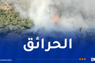 إندلاع 5 حرائق في جيجل