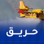 إندلاع حريق في غابة تالارانا بالبويرة