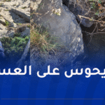 البحث عن شخص مفقود داخل كهف بقسنطينة
