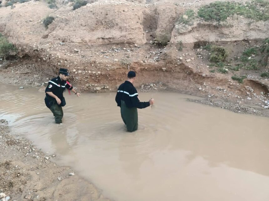الجلفة .. البحث عن طفل جرفته سيول واد بدار الشيوخ