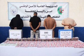 الجلفة.. تفكيك شبكة إجرامية  وحجز ما يقارب 6 آلاف قرص مهلوس داخل سيارة