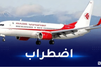 الجوية الجزائرية: اضطرابات واسعة في برنامج الرحلات من وإلى فرنسا