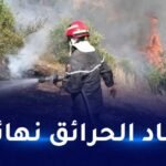 الحماية المدنية: إخماد 7 حرائق غابات عبر عدة ولايات