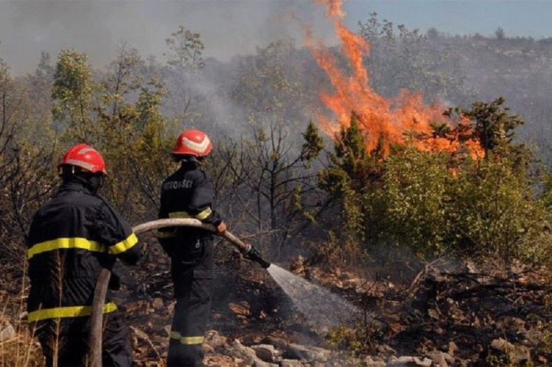 الحماية المدنية: اندلاع 16 حريقًا بينها 12 تم إخمادها نهائيًا و4 عمليات إخماد متواصلة